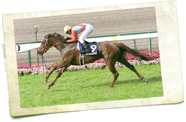 2003年 桜花賞 史上2頭目の牝馬三冠　その幕開け、スティルインラブ