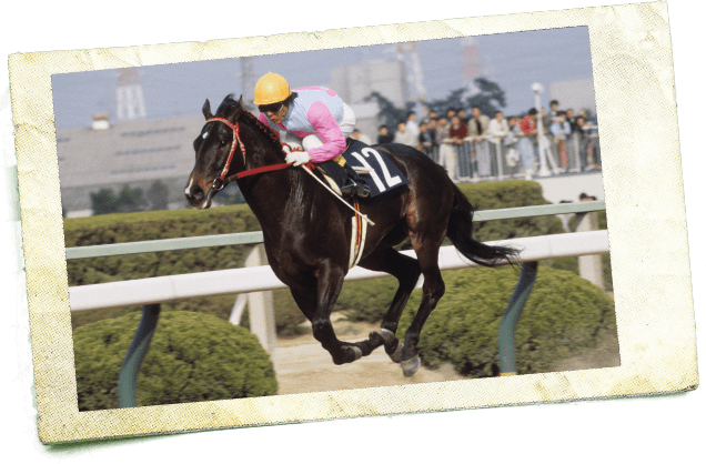 1984年 大阪杯 三冠馬のライバル、世界制覇への序章　カツラギエース